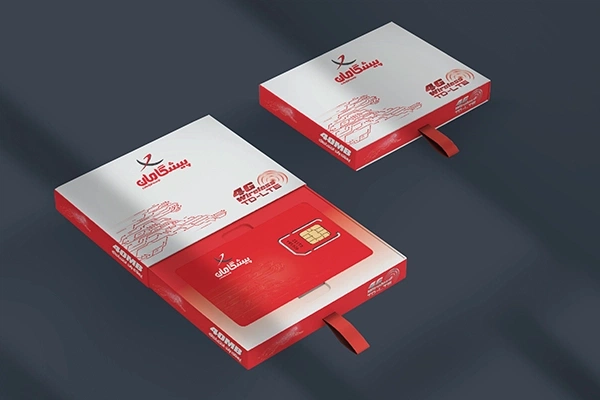شرکت توسعه ارتباطات پیشگامان