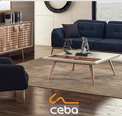 طراحی نام برند سبا Ceba